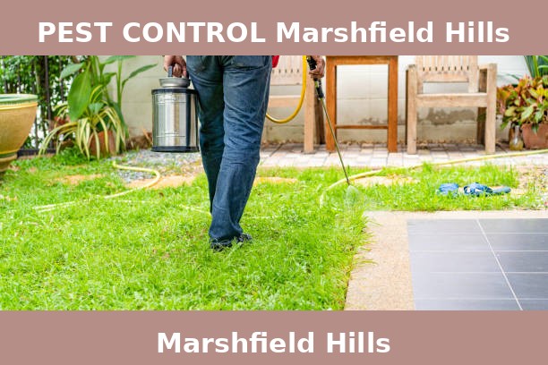 PEST CONTROL Marshfield Hills